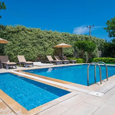 Eroglu Φετιγιέ