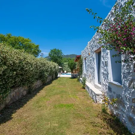 Eroglu Φετιγιέ