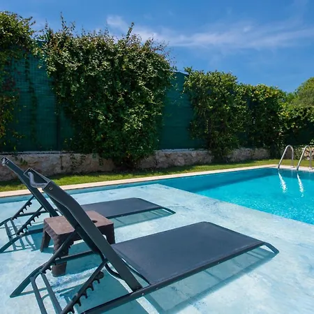 Eroglu Φετιγιέ