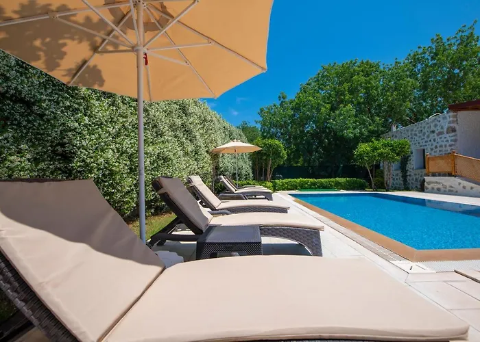 Eroglu * フェティエ