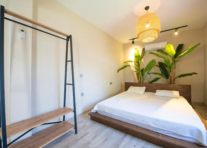 Вилла Eroglu Фетхие